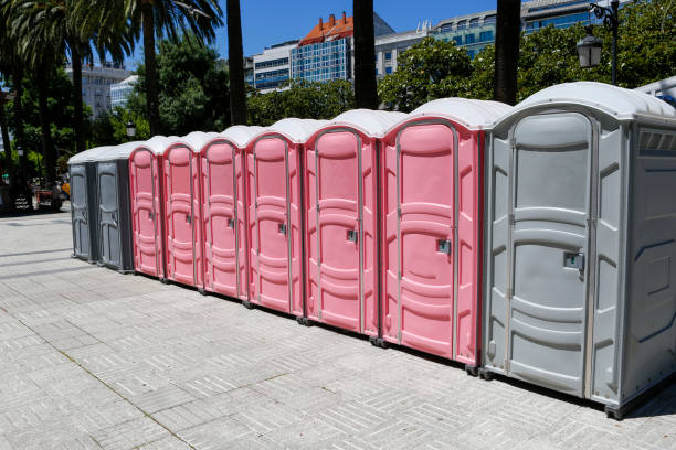 Best Portable Restroom Removal and Pickup  in Ridgway, CO
